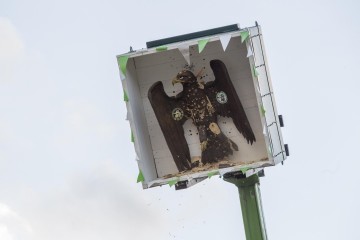 K1600 KSF160904 1778