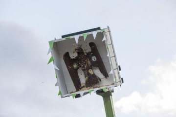 K1600 KSF160904 1779