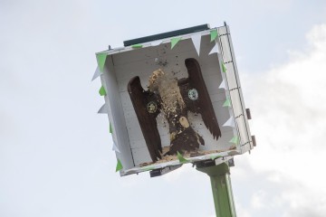 K1600 KSF160904 1780