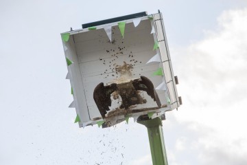 K1600 KSF160904 1784