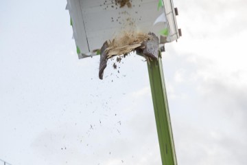 K1600 KSF160904 1785