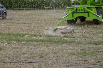 K1600 KSF160904 1795